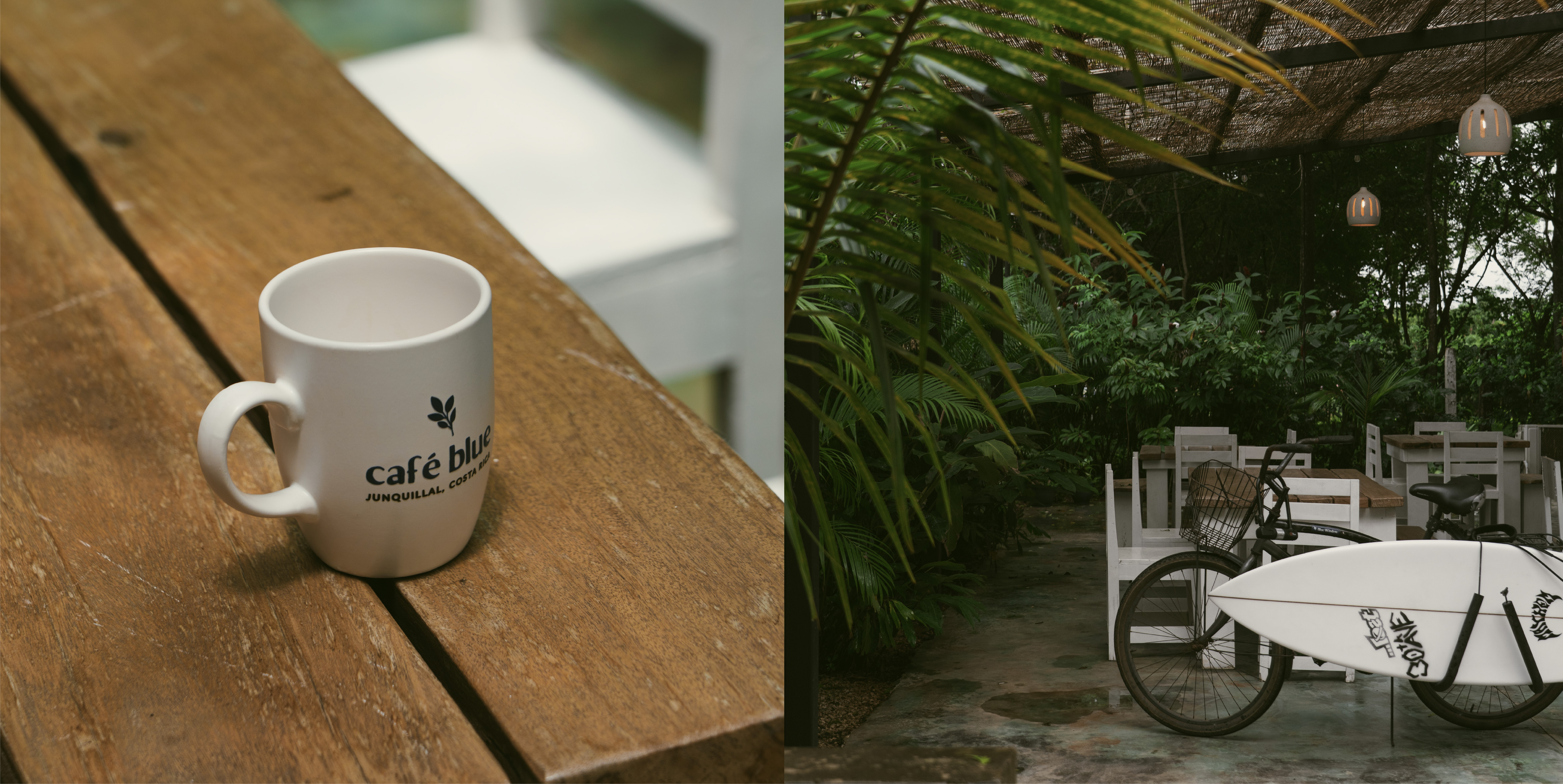 Cafe Blue Digital Touchpoints